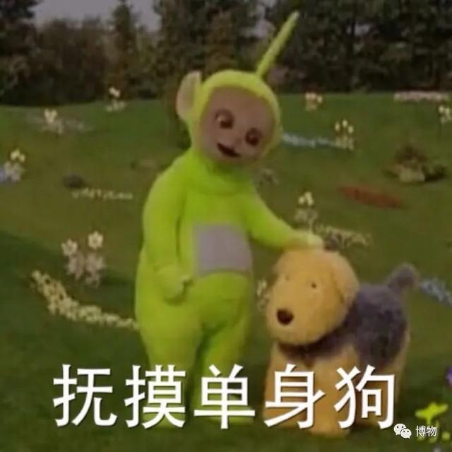 四叶幸运草