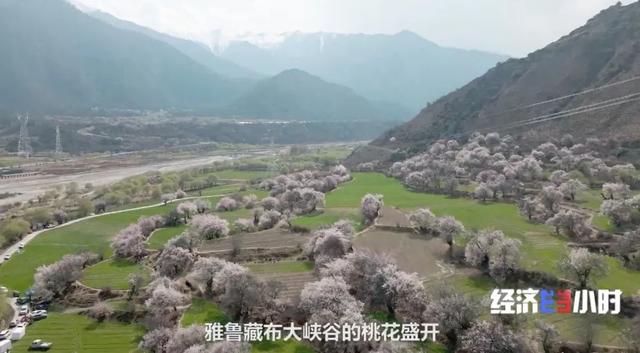 关于轮式洗砂机转速增快的信息