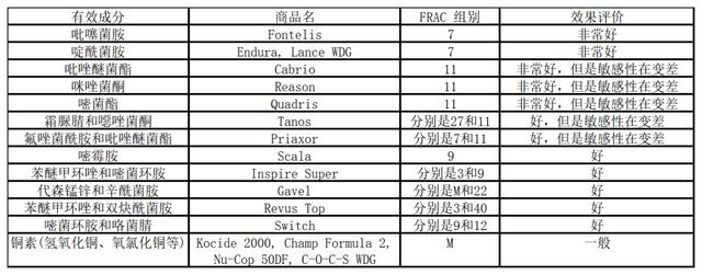 百菌清有哪些替代产品可选择？3