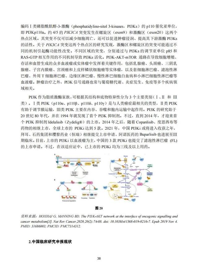 速覽 | 2020年度中國抗腫瘤新藥臨床研究評述