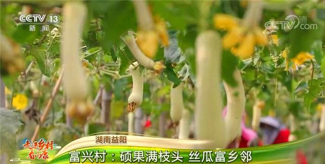 石嘴山筛沙洗砂机价格