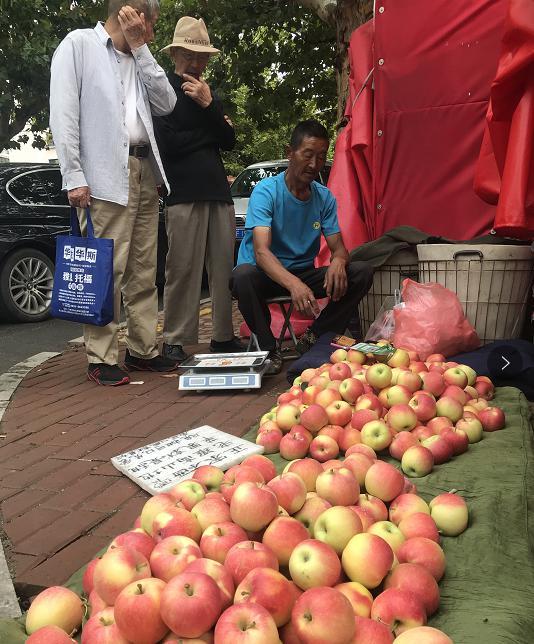 逛市场（视频）|烟台苹果迎来收获季，嘎啦苹果上市十元3-4斤，“红将军”“红富士”也将紧随其后1