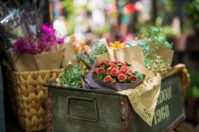 秋已至暑未减，热湿燥共存，适合煲什么汤？