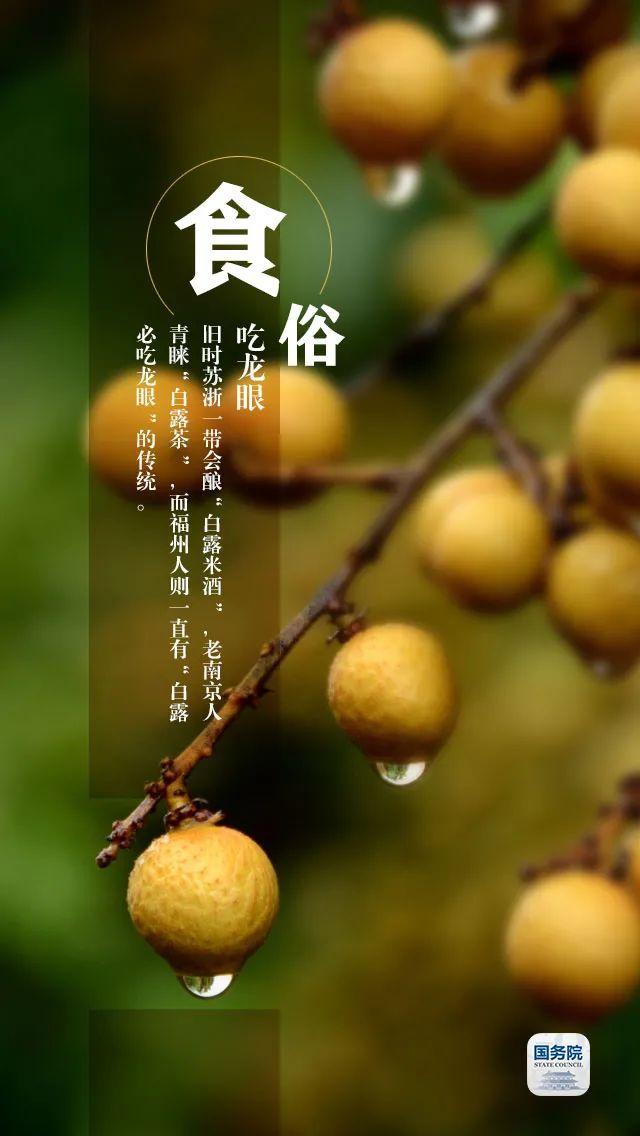 今日白露 | “露凝而白也”，仲秋时节开始了