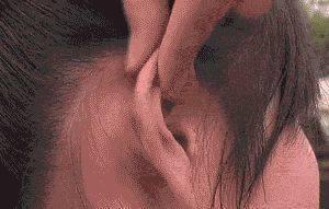 秋已至，喝“一水”，吃“二白”，守“三气”，少生病，更健康