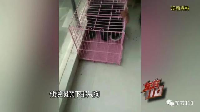 上海一小区床下发现无名男尸，死亡超过30天，住在房里的人却毫无察觉