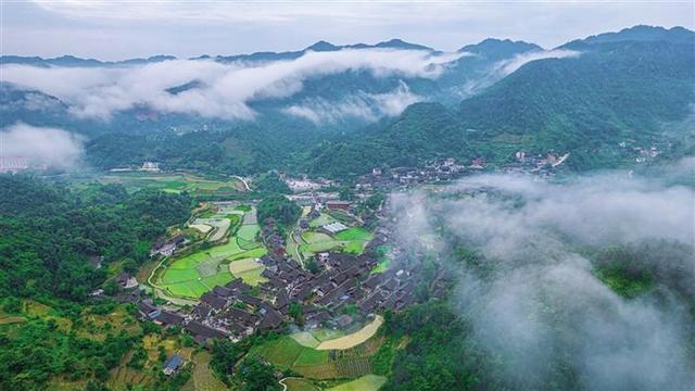 白云山发现脆蛇蜥