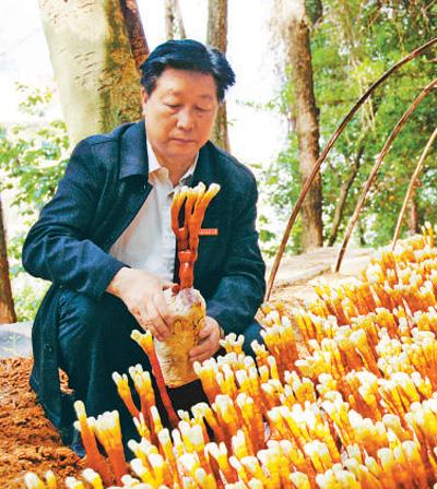 关于龙岩破碎机生产厂家的信息