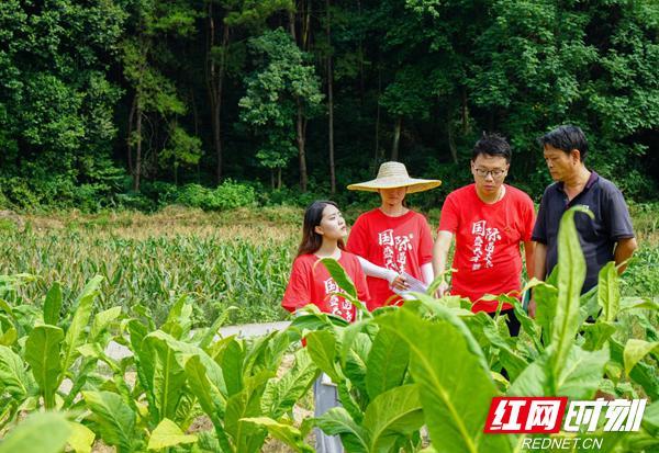 北京文新创展工程造价咨询