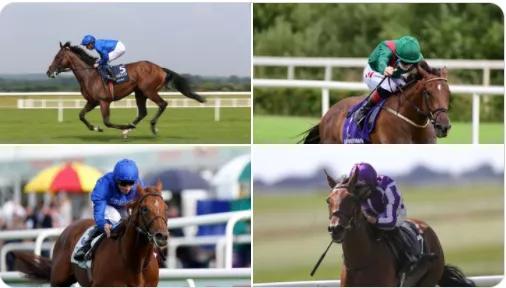 凱旋門大賽 為何從世界第一跌至第11名 資深賽馬人士為你揭秘 中國熱點