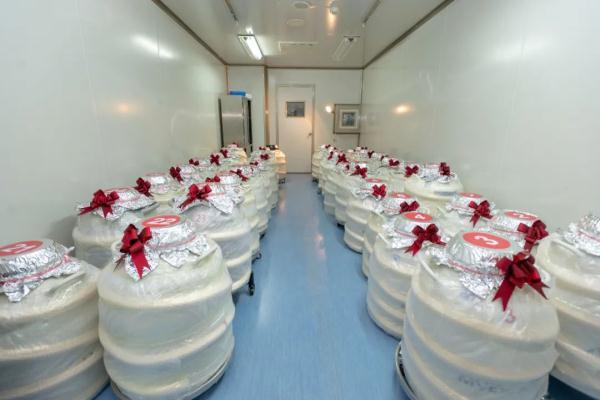 牵动人心！柳州50000多枚“胚胎宝宝”大转移，警车“同城护送”