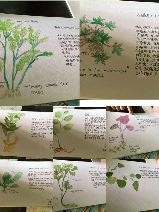 ​又是一个别人家的小孩！“八段锦”月饼见过吗？杭州10岁姑娘设计的