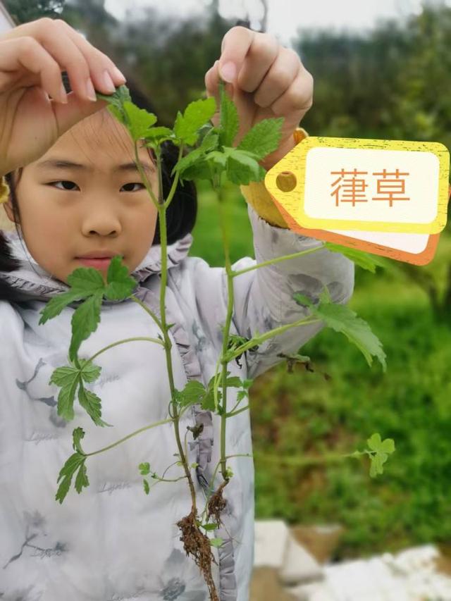 ​又是一个别人家的小孩！“八段锦”月饼见过吗？杭州10岁姑娘设计的