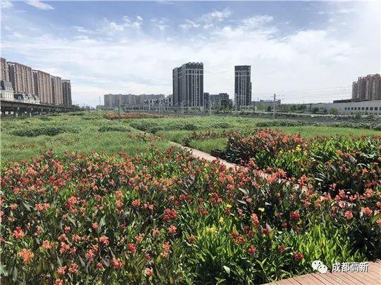 德州砂石破碎制砂机