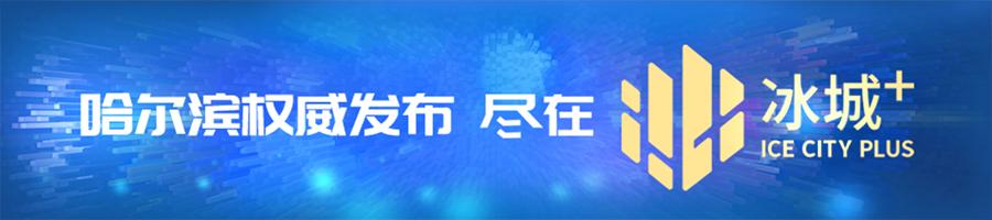 哈尔滨龙运物流园区发展规划研究