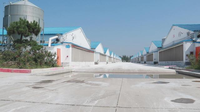 临沂小型破碎机价格的简单介绍