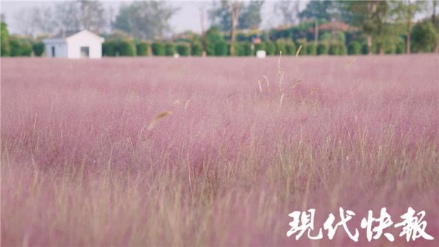 4月13日南京农业机械展