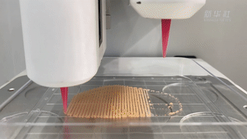 Vlog|“穿越”去未来，看看智慧生活长啥样？