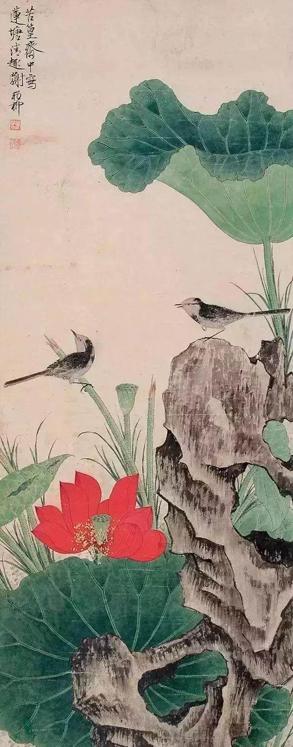 有关荷花的图片
