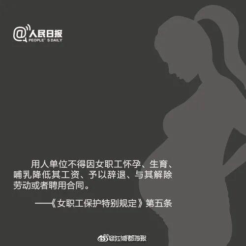 女子怀孕七个月，被公司称没产假劝退？网友热议