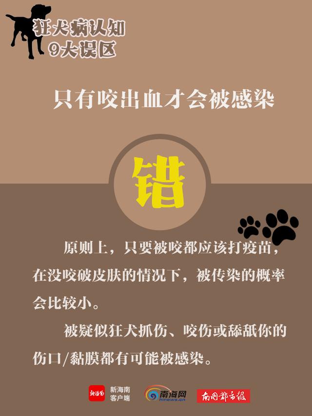 世界狂犬病日，带你了解狂犬病9大认知误区