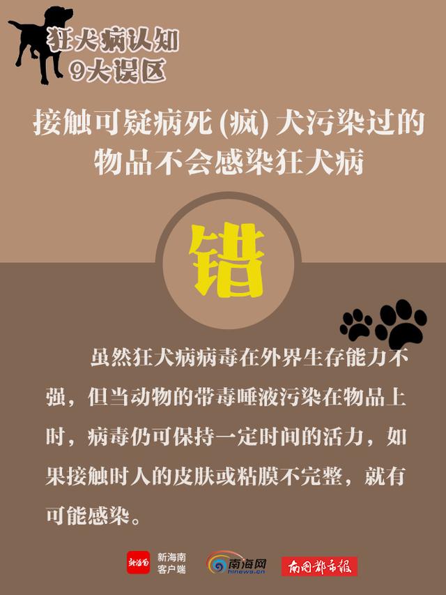 世界狂犬病日，带你了解狂犬病9大认知误区