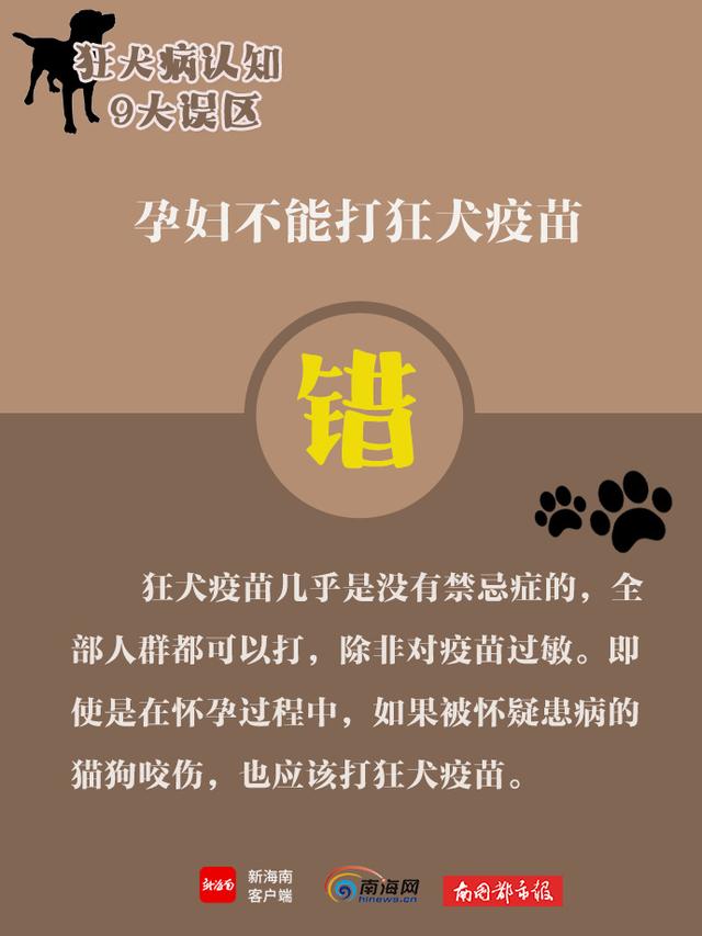 世界狂犬病日，带你了解狂犬病9大认知误区