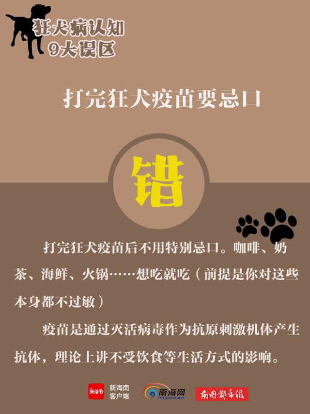 世界狂犬病日，带你了解狂犬病9大认知误区