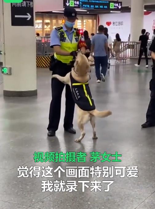 可爱！上海地铁站警犬卖萌求抱抱，警官摸脸好温柔
