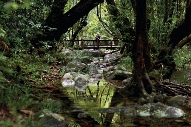 澳媒：澳大利亚一州宣布将热带雨林等4个国家公园归还土著人