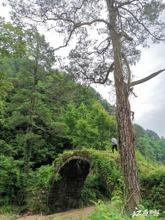 赣州河南移动青石制砂机