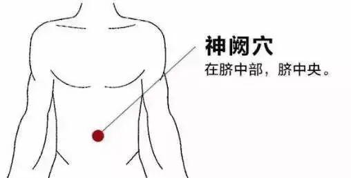 国医大师李济仁：养生不深奥，贵在坚持