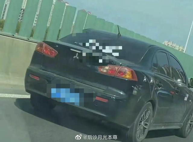 猎奇什么意思 猎奇什么意思