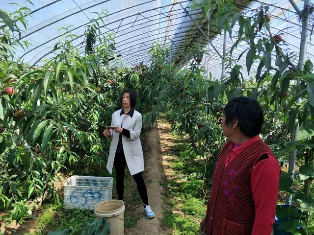 诸城市广优蔬菜破碎机