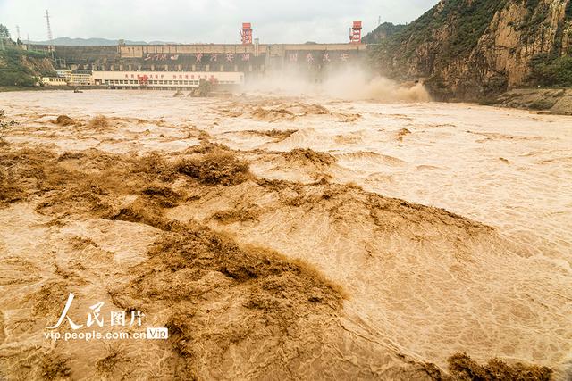 山西平陆：黄河三门峡水利枢纽开闸泄洪