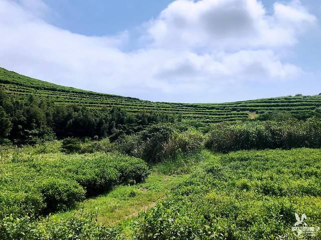 大嵛山岛