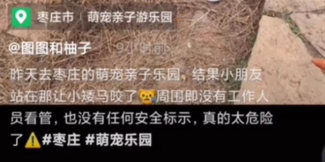 小马咬伤儿童后未予处置再次咬人？萌宠乐园：不是同一匹马