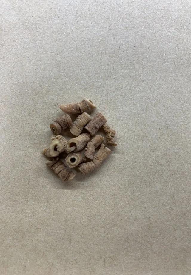 「本草驿站」失眠怎么办？中药助你轻松觅周公（二）