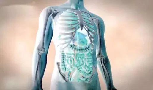 长期喝酒、熬夜太伤肝！这种药草，养肝降血脂