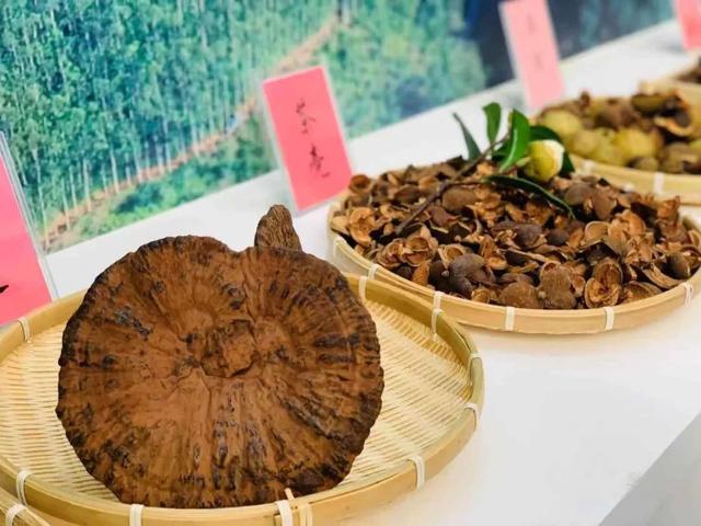 中国2018园林机械展