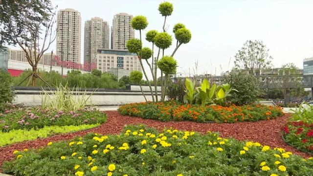 无锡机械展设计