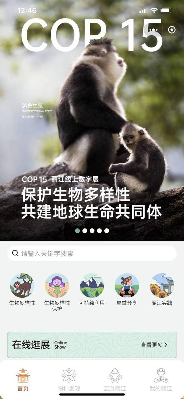 丽江机械展