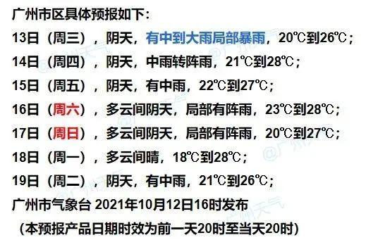 海南全自动螺旋洗砂机定做