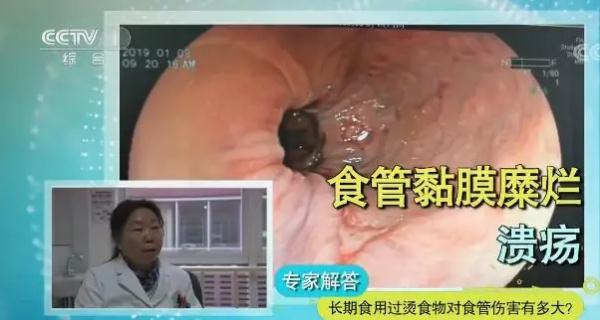 400克水果破碎机