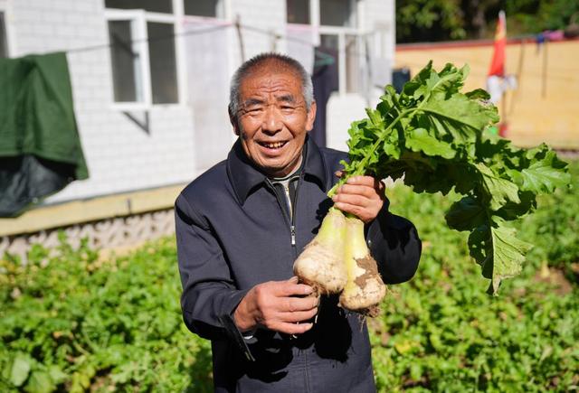 梦见孤儿代表什么意思