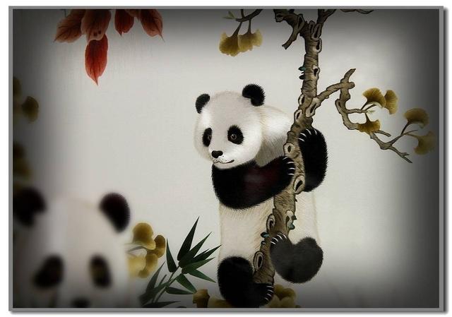 11月成都医药机械展