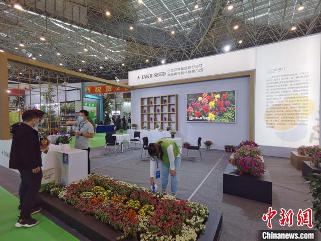 合肥林业社会机械展