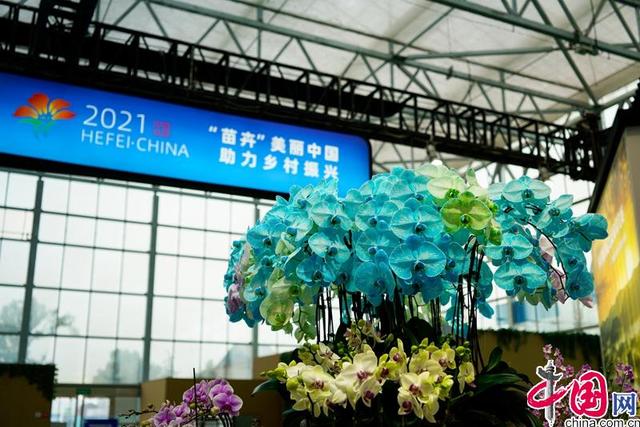 合肥园林机械展全称