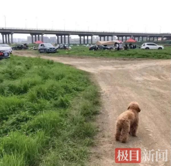 青海小型熟料破碎机的简单介绍