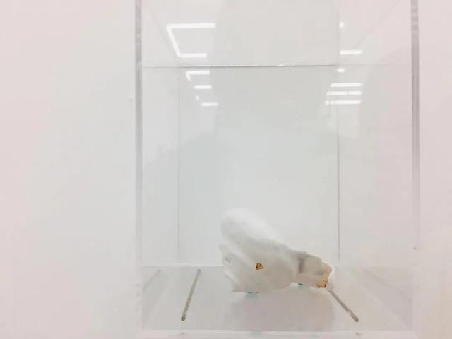 厦门2020机械展